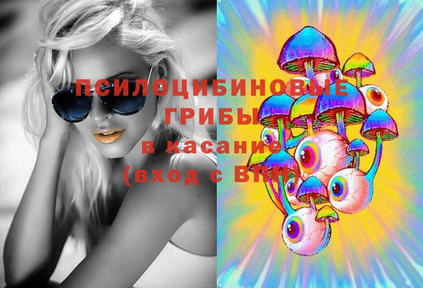 твердый Алексеевка