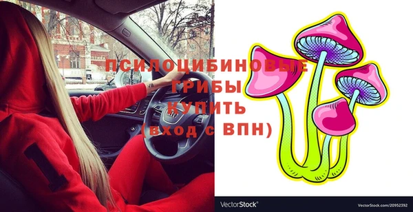 твердый Алексеевка