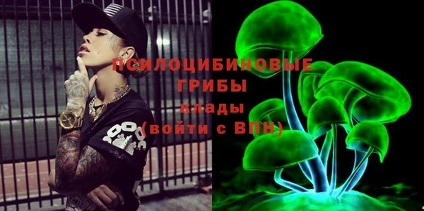 Альфа ПВП Алзамай
