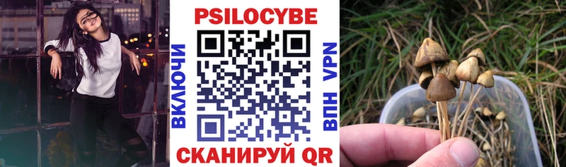 маркетплейс как зайти  Вилючинск  Галлюциногенные грибы GOLDEN TEACHER  где найти наркотики 